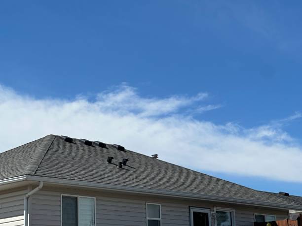 Best Cold Roofs  in Waxhaw, NC